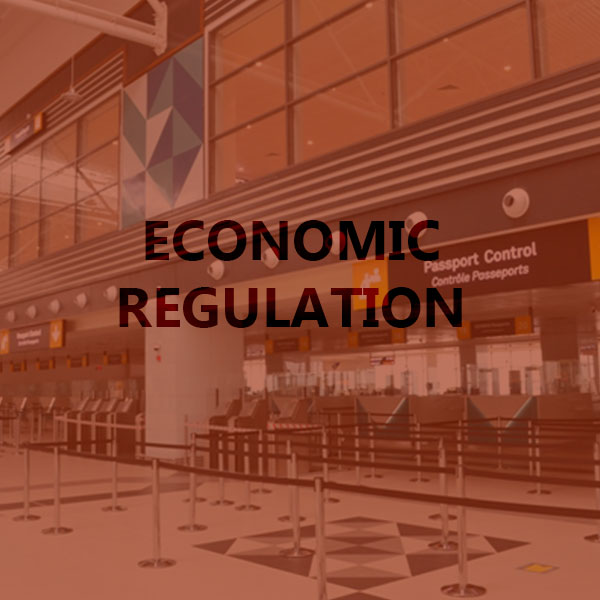 Ecomonic Regulation